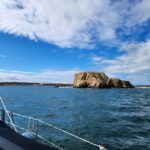 Cascais/Portimão: Private Yacht Cruise with Drinks - What to Expect from Your Yacht Cruise