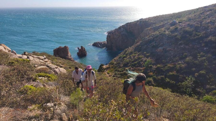 Cascais: Wild Coast Hike to a Secluded Swim Spot - What to Expect on Your Coastal Adventure