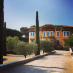 Cassis, Bandol, Le Castellet wine tour: Cliffs and Vineyards - What Sets This Tour Apart?