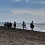 Castagneto Carducci: Horseback Riding Experience in Tuscany - Who Will Love This Experience?