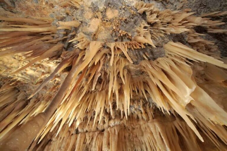 Castellana Grottoes: Official Guided Tour with Entry Ticket - The Guided Tour Experience: What You Gain