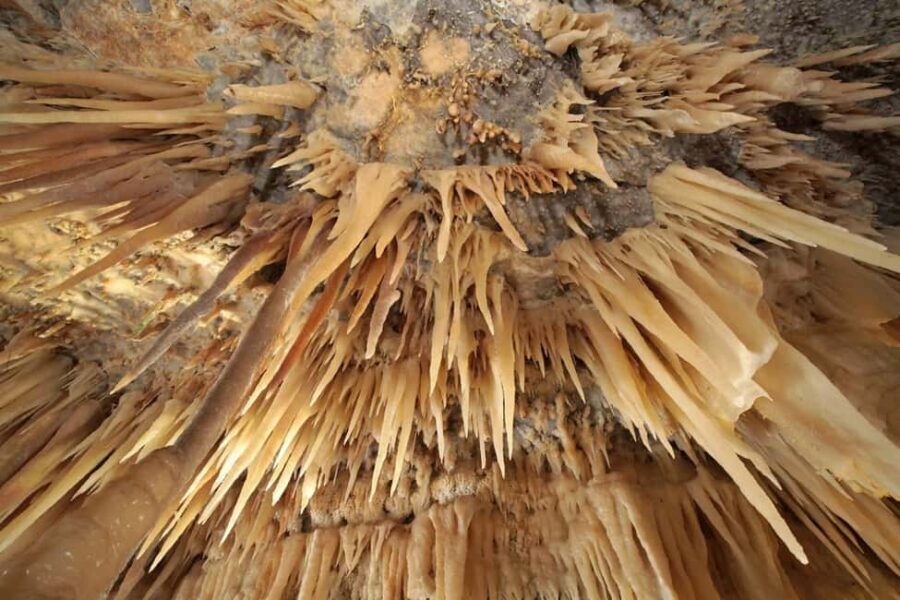 Castellana Grottoes: Official Guided Tour with Entry Ticket - The Guided Tour Experience: What You Gain