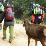 Castiadas: trekking in the S'Acqua Callenti forest - Who Will Love This Tour?
