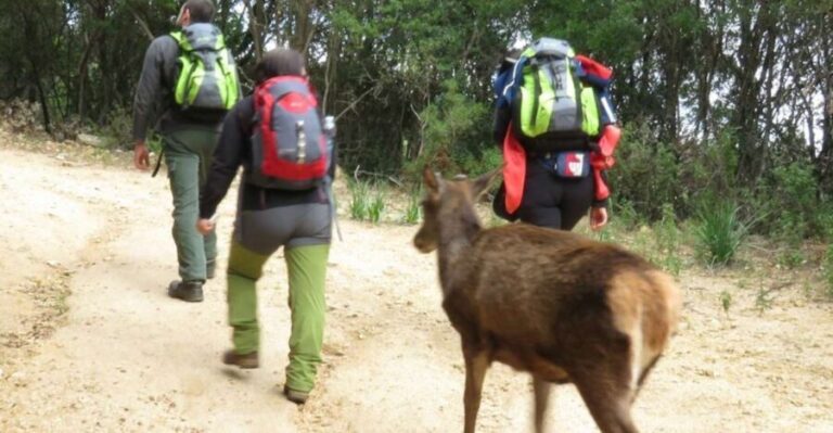 Castiadas: trekking in the S'Acqua Callenti forest - Who Will Love This Tour?