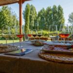 Castiglion Fiorentino: Vegetable Harvest And Wine Experience - Final Thoughts