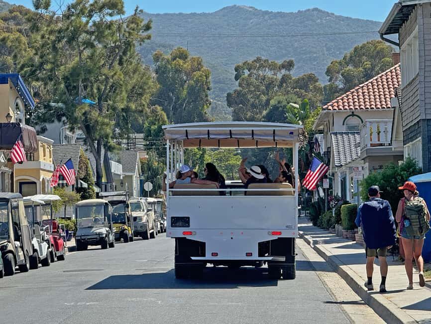 Catalina Island City & Scenic Mt. Ada Tour - Who Should Consider This Tour?