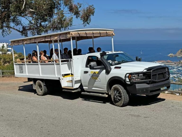 Catalina Island: Sunset Summit Tour - What Reviewers Say  