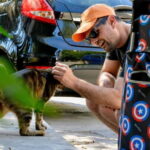 Cats of Athens - Walking Tour - The Experience from a Traveler’s Perspective