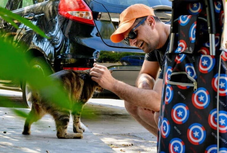 Cats of Athens - Walking Tour - The Experience from a Traveler’s Perspective