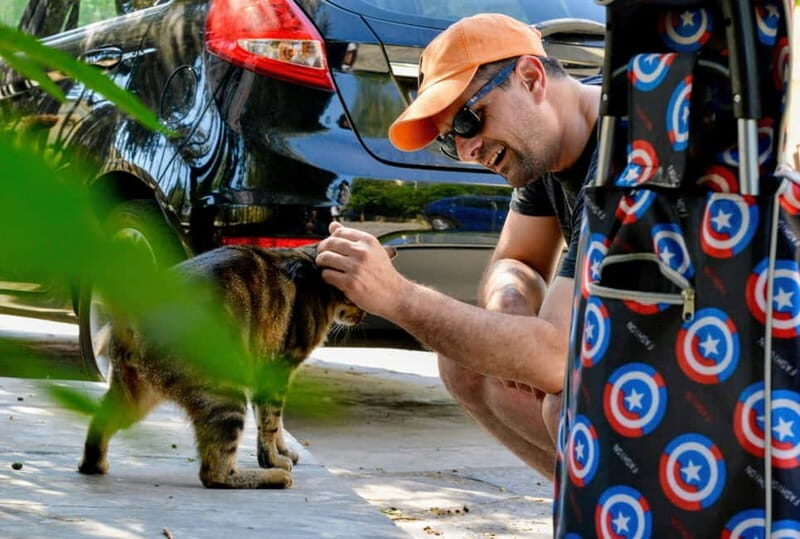 Cats of Athens - Walking Tour - The Experience from a Traveler’s Perspective