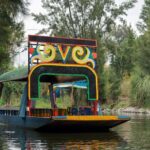 CDMX Enjoy a unique tour of Xochimilco and Coyoacán - Who Will Love This Tour?