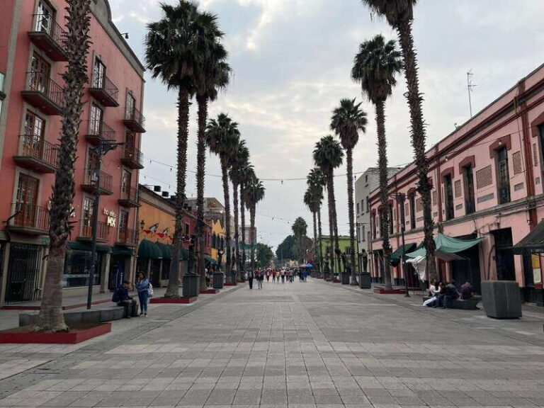 CDMX: Garibaldi Copa Show - The Value of the Experience