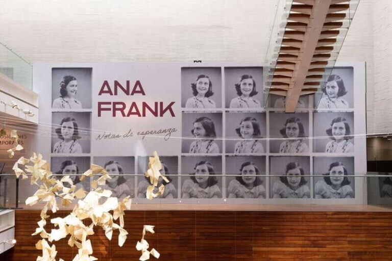 CDMX: Museum of Memory and Tolerance - Anne Frank (Entrance ticket) - What to Expect from the Experience
