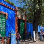 CDMX: Private tour of Xochimilco, Coyoacán, and the Frida Museum - Final Thoughts on Value and Suitability