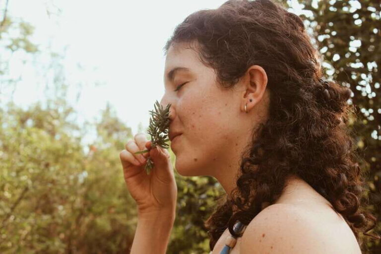 CDMX: TEMAZCAL Healing & cleansing ceremony ritual zapoteco - The Cultural and Healing Significance