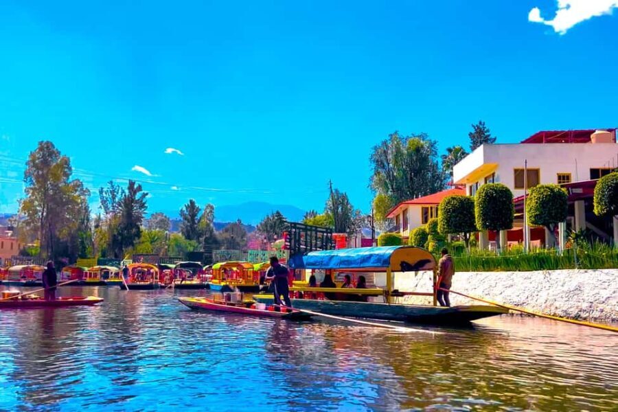 CDMX: Trajinera party in Xochimilco with tacos, music, and drinks - The Value of the Experience  