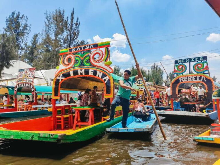 CDMX: Xochimilco, Coyoacan, Frida Kahlo Museum & Murals Tour - Practical Tips for Travelers