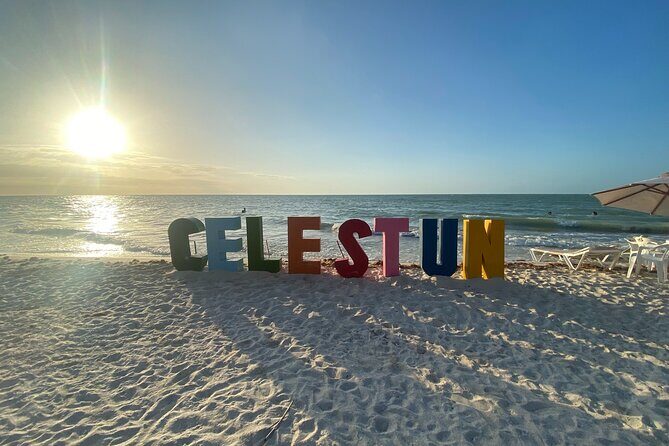 Celestun and Sisal Tour from Mérida - Pricing and Overall Value
