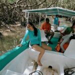 Celestun Beach and Mangrove Boat Ride from Merida - Whats Included and Whats Not