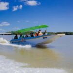 Celestún Flamingos, Beach, and Seafood Tour, leaving from Merida - Is It Worth the Price?