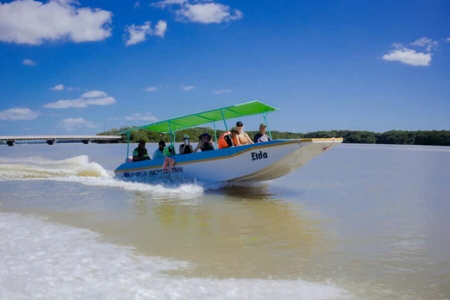 Celestún Flamingos, Beach, and Seafood Tour, leaving from Merida - Is It Worth the Price?