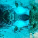 Cenotes and Paradise Lagoon - The Experience in Practice