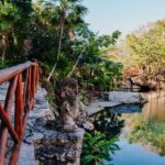 Cenotes Casa Tortuga 4 Cenotes Day Pass - Authentic Experiences and Tips from Reviewers