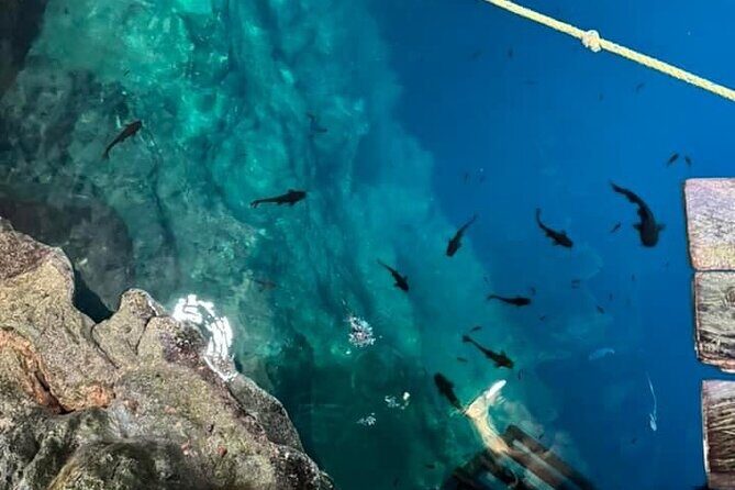 Cenotes, Pink Waters and Chichén Itzá in Tizimin Yucatán México - Final Thoughts: Is This Tour Right for You?