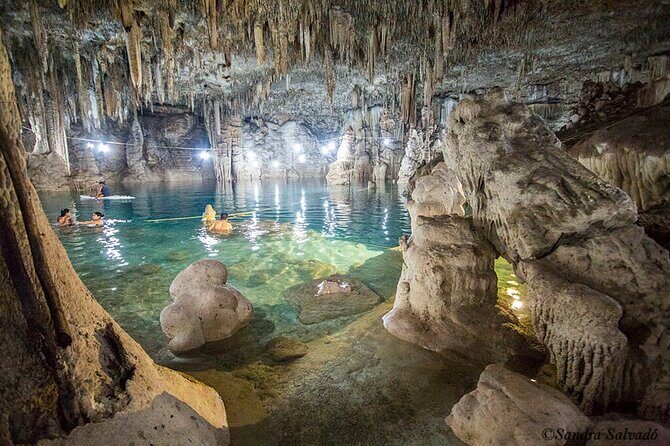 Cenotes Private Tour from Valladolid - The Value of the Tour