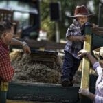 Central Florida Haunted Hayride - Pricing and Value