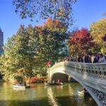 Central Park Intervention Shared Walking Tour - Authentic Insights from Past Participants