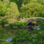 Central Park Movie Locations Pedicab Tour - The Itinerary in Detail