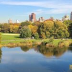 Central Park, NYC: Private Bike Tour and Luxurious Picnic - The Sum Up