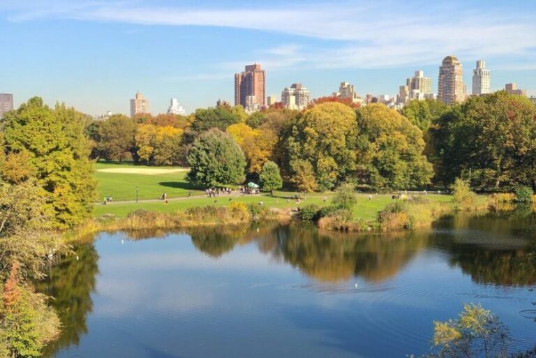 Central Park, NYC: Private Bike Tour and Luxurious Picnic - The Sum Up