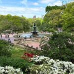 Central Park Private Pedicab Guided Tours - The Itinerary: What You’ll See and Experience