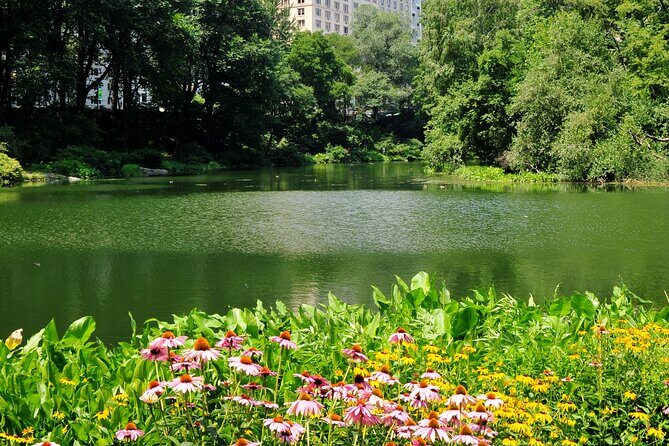Central Park Scenic Walk with Local Guides - The Itinerary in Detail