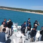 Cetacean Watching Tour - Summary of the Tour’s Strengths and Considerations