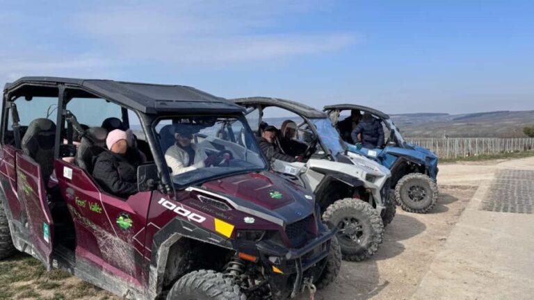 Champagne vineyards: 2-hour guided tour of the vineyards in a Buggy - Pricing and Value