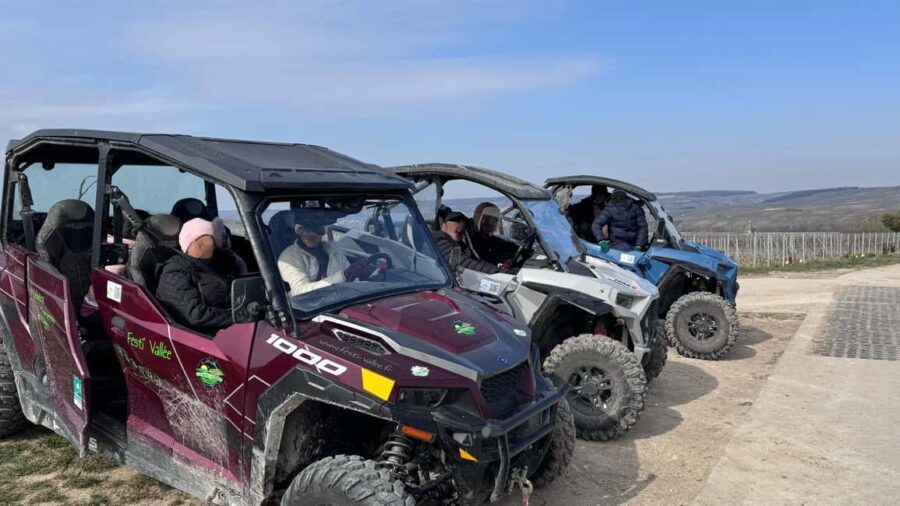 Champagne vineyards: 2-hour guided tour of the vineyards in a Buggy - Pricing and Value