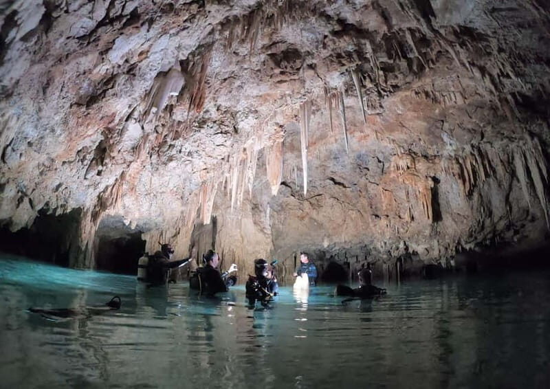 Chania: Diving Trips for Certified Divers - Dive Sites and What to Expect