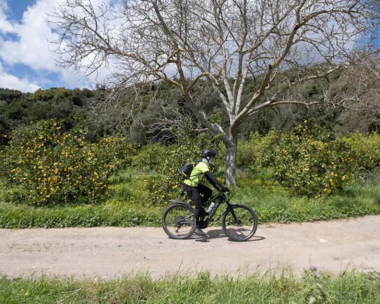 Chania: Electric Mountain Bike Tour - Why This Tour Offers Great Value