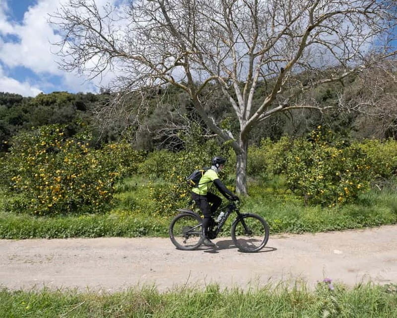 Chania: Electric Mountain Bike Tour - Why This Tour Offers Great Value