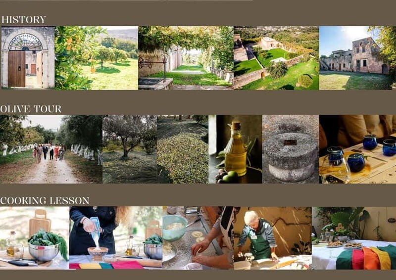 Chania: Olive Oil Tasting & Cooking Class at Metohi Istoria - An In-Depth Look at the Experience