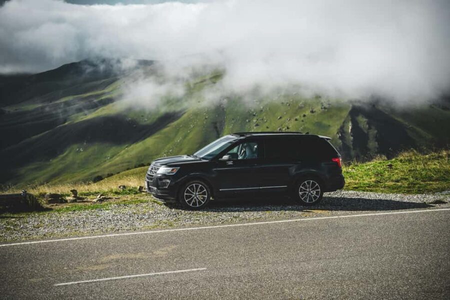 Chania Olive Tour: 3,000-Year-Old Tree, Museum &Organic Mill - Introduction to the Tour
