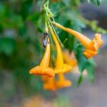 Chania Safari & Botanical Garden  Nature & Aromas Tour - What’s Not Perfect?