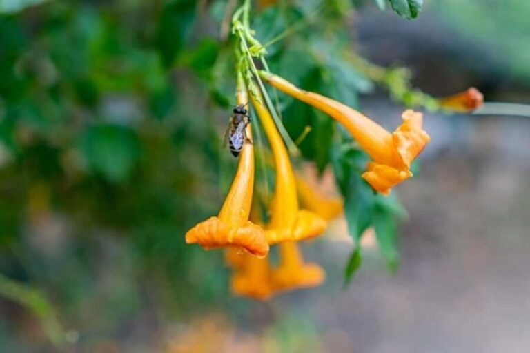 Chania Safari & Botanical Garden  Nature & Aromas Tour - What’s Not Perfect?