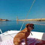 Chania: Self-Drive Boat and another with Skiper 7.50 m - Who Is This Tour For?