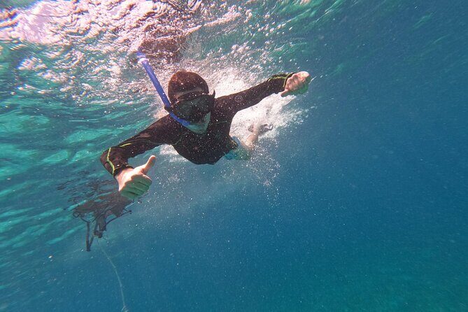 Chankanaab Park entrance ticket with snorkeling and buffet included - Exploring Chankanaab Park: A Detailed Breakdown