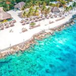 Chankanaab Park Plus Discovery Scuba Dive with Lunch - Why This Tour Offers Great Value