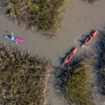 Charleston: Folly River Sunset Kayak Dolphin Safari - Authentic Experiences and What Travelers Say